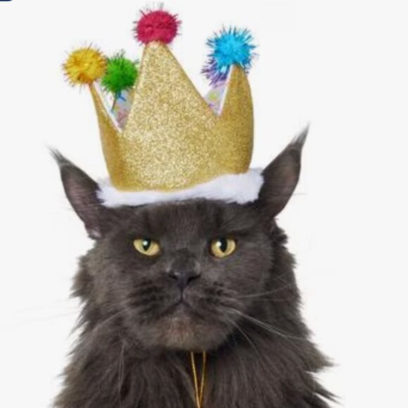 NEW WITH TAGS Frisco Birthday Glitter Crown Dog & Cat Hat, X-Small/Small - Picture 1 of 4